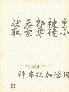 状元郎被皇上强取豪夺后小说阅读封面