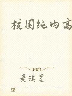 校园纯肉高h文