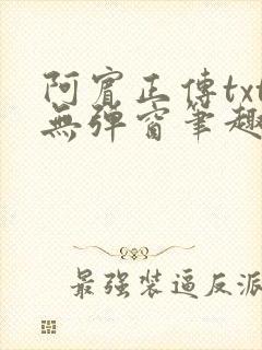 阿宾正传txt无弹窗笔趣阁封面