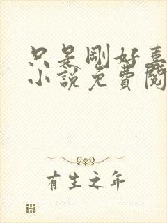 只是刚好喜欢你小说免费阅读全文