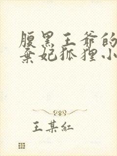 腹黑王爷的绝色弃妃狐狸小姝