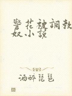 警花被调教成女奴小说封面