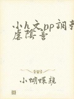 小h文np调教虐阴蒂