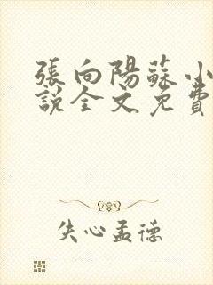 张向阳苏小棠小说全文免费阅读笔趣阁封面