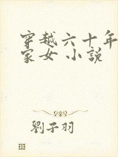 穿越六十年代农家女 小说