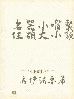 名器小嘴紧紧吸住硕大小说