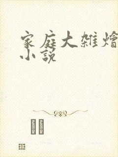 家庭大杂烩经典小说