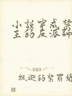 小说穿成禁欲男主的反派师尊免费阅读全本