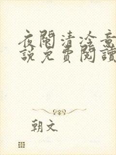 夜阑清冷意欢小说免费阅读