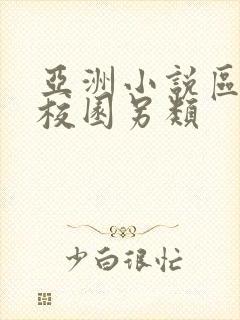 亚洲小说区激情校园另类