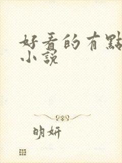 好看的有点h的小说