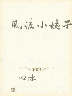 风流小姨子封面
