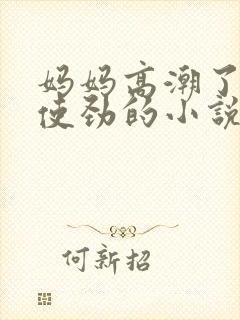 妈妈高潮了嗯啊使劲的小说封面