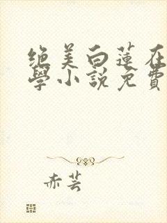 绝美白莲在线教学小说免费完整版txt