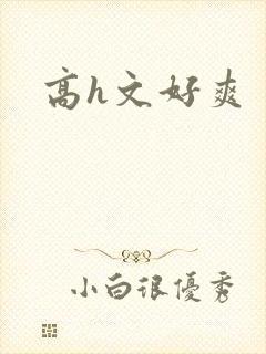 高h文好爽