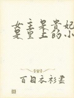 女主是贵妃男主是皇上的小说