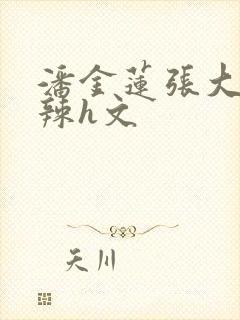 潘金莲张大户高辣h文