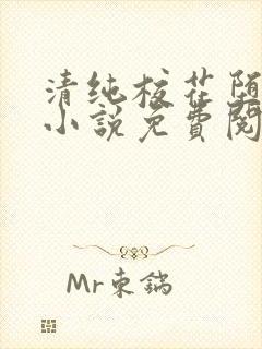 清纯校花堕落记小说免费阅读allimine