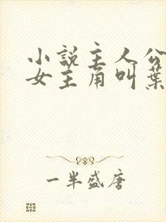 小说主人公林凡女主角叫叶惜