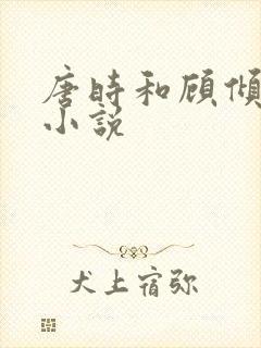 唐时和顾倾城的小说封面