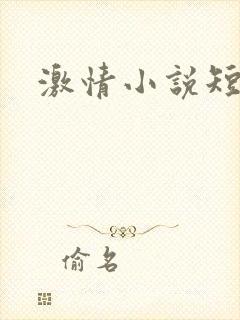 激情小说短篇集封面