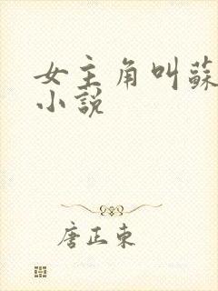 女主角叫苏月的小说