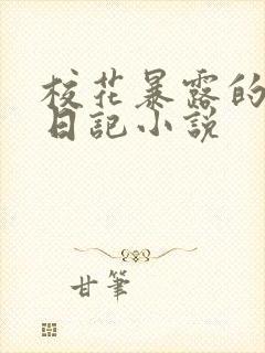 校花暴露的羞耻日记小说