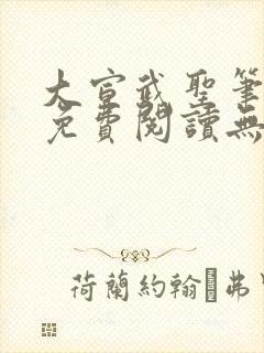 大宣武圣笔趣阁免费阅读无弹窗封面