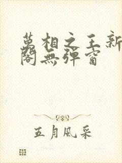 万相之王新笔趣阁无弹窗