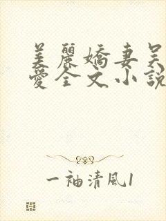 美丽娇妻吴勇小爱全文小说全集封面