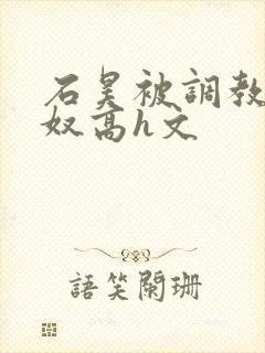 石昊被调教成肉奴高h文