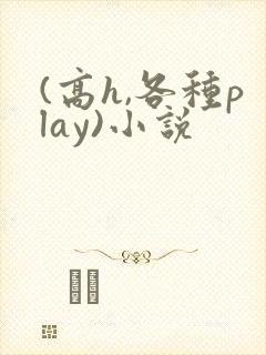 (高h,各种play)小说