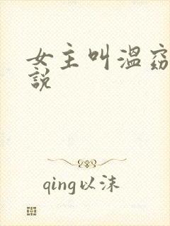 女主叫温窈的小说