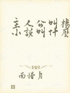 主人公叫杨辰的小说叫什么名字封面