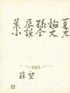 叶辰孙怡夏若雪小说全文免费阅读封面