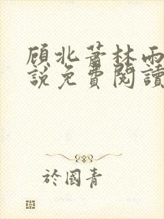 顾北萧林雨菲小说免费阅读最新章节