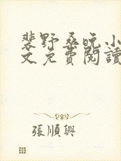 裴野桑晚小说全文免费阅读最新章节