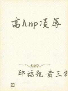 高hnp凌辱
