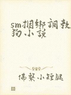 sm捆绑调教母狗小说