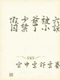 假少爷被六个哥囚禁了小说