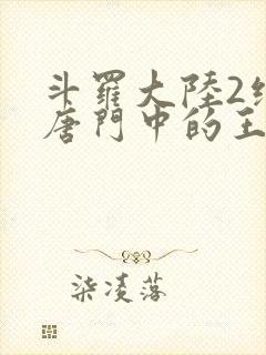 斗罗大陆2绝世唐门中的王冬封面