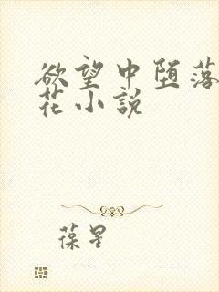 欲望中堕落的校花小说封面