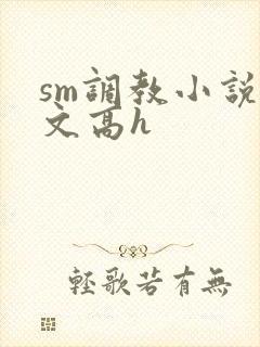 sm调教小说辣文高h
