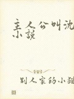 主人公叫沈晴的小说