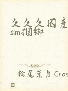 久久久国产调教sm捆绑