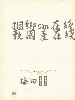 捆绑sm在线调教国产在线