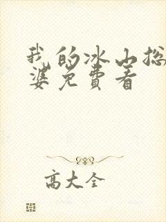 我的冰山总裁老婆免费看封面