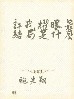 许我耀眼最后大结局是什么