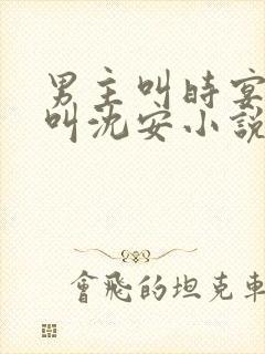 男主叫时宴女主叫沈安小说名字