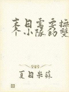 末日需要抚慰整个小队的双男主小说